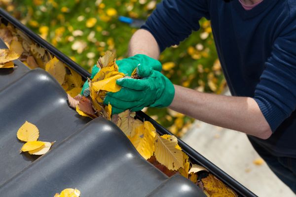 Barn Gutter Cleaning