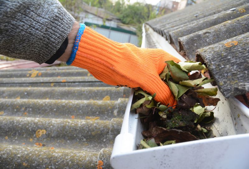 Clean Residential Gutters