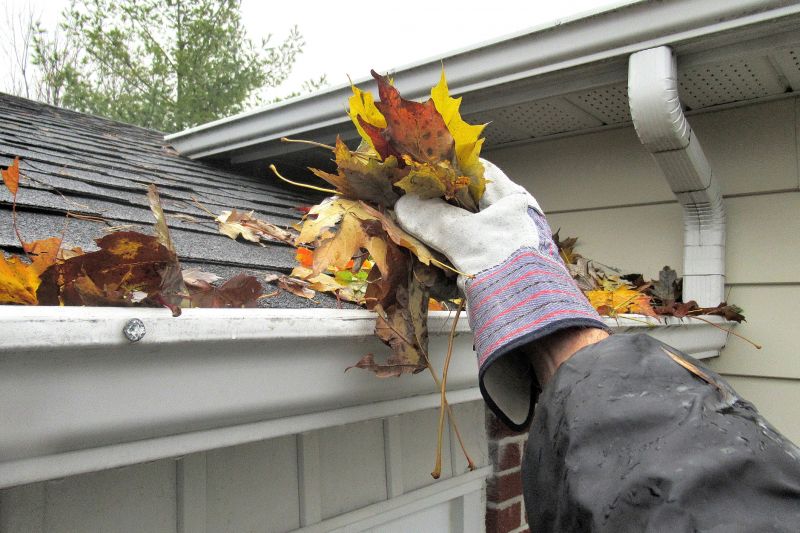 Professional Gutter Inspection