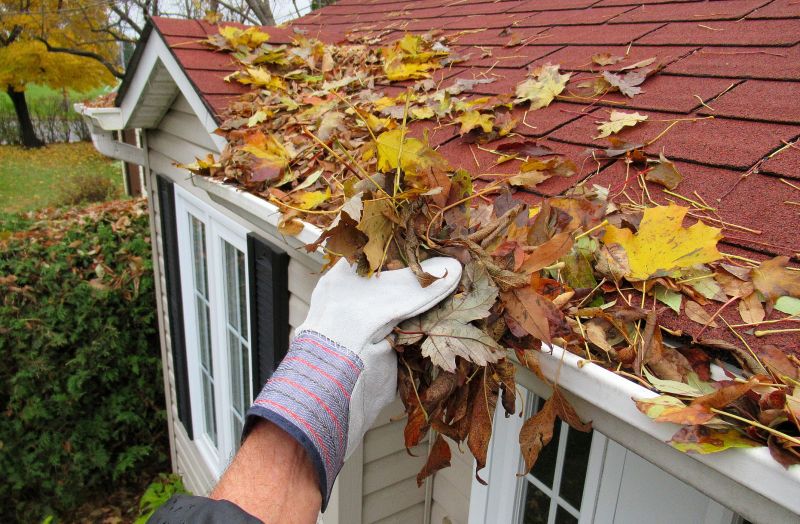 Gutter Debris Removal